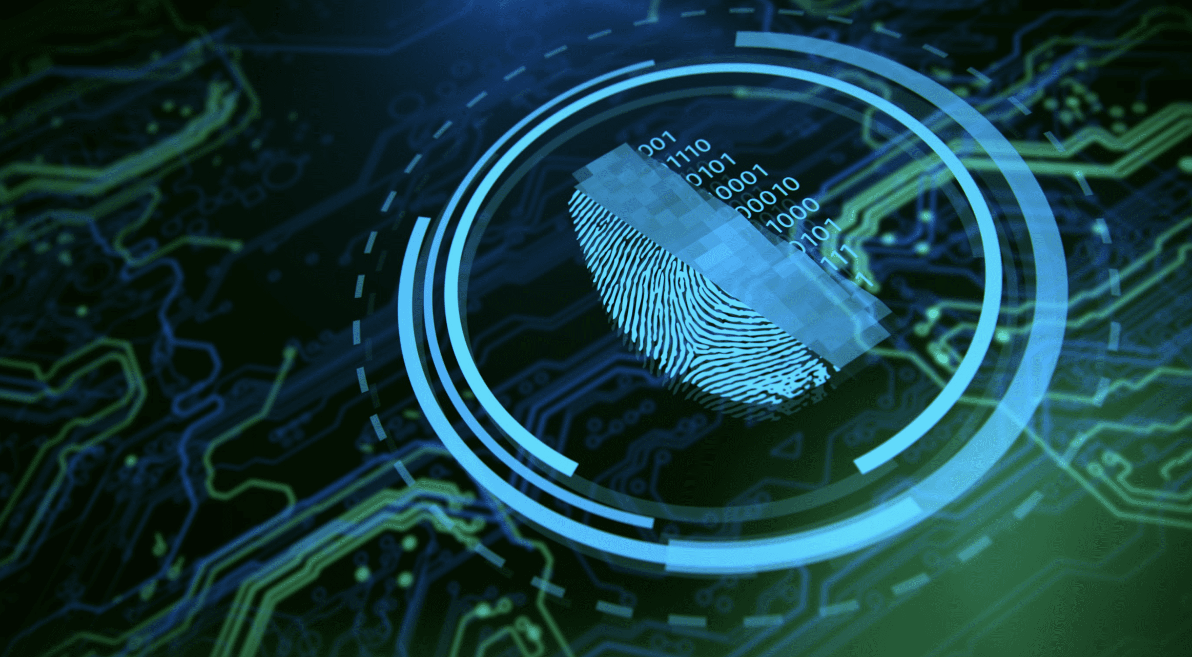 graphic of holographic circuitboard with a fingerprint and binary code overlaid on top