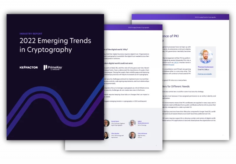 screenshots of the 2022 Emerging Trends in Cryptography ebook
