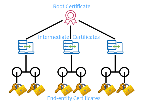 What is the Certificate Chain of Trust?