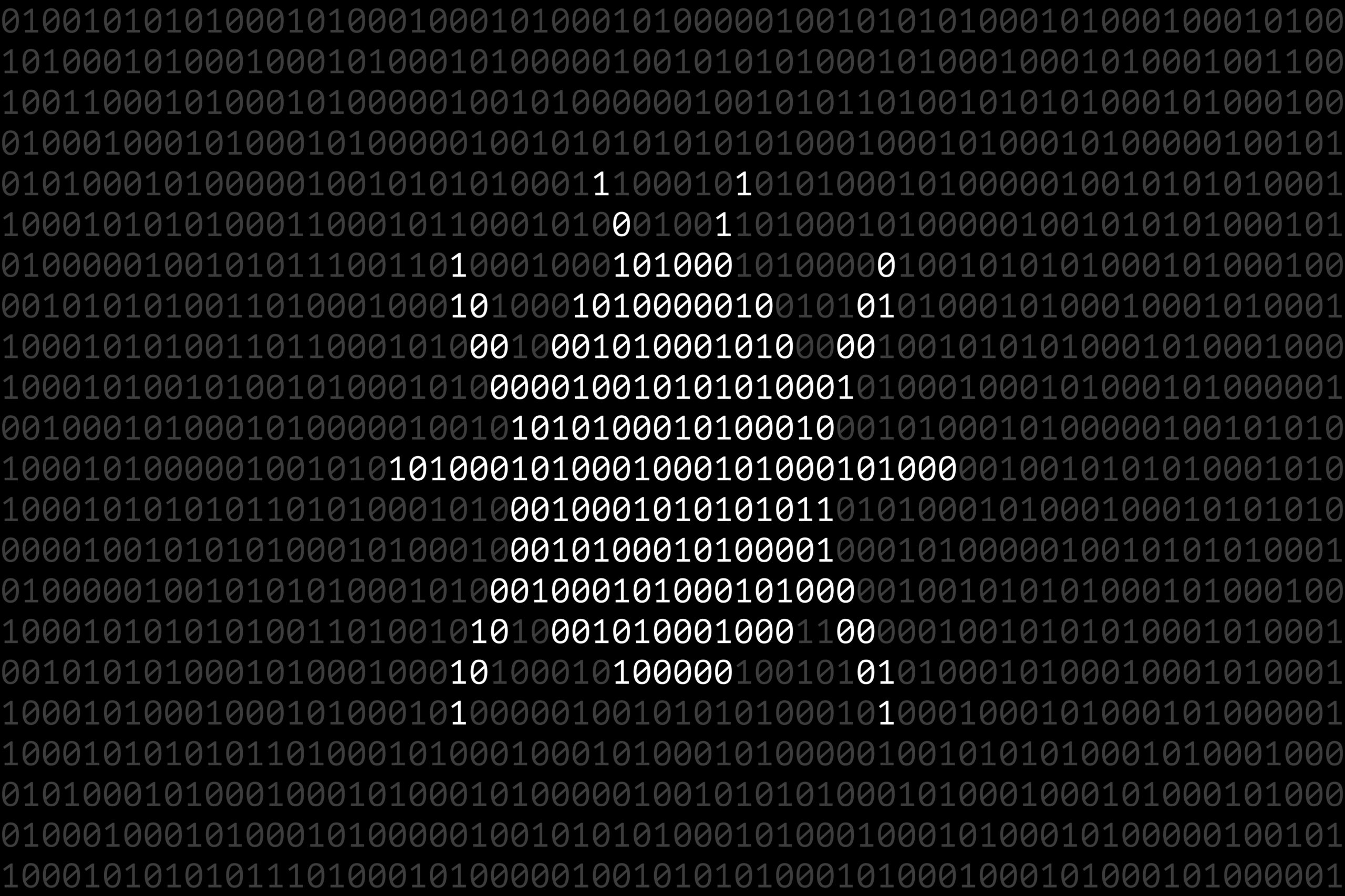 alternating white and black binary code that creates an image of a bug
