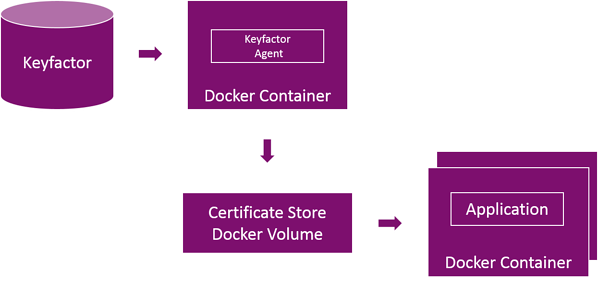 Keyfactor Docker 1