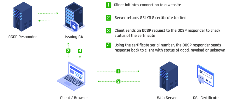 Certificate revocation process using OCSP