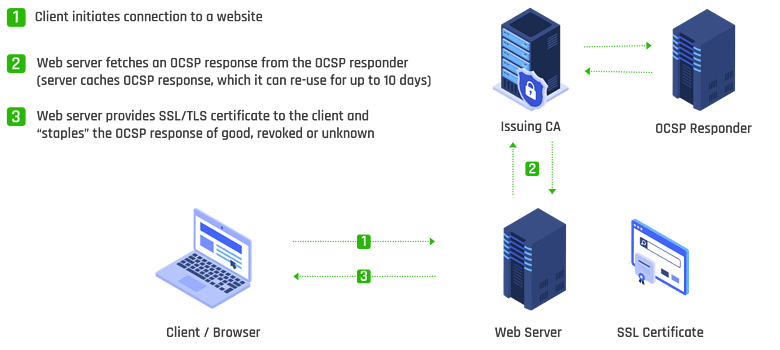 Certificate revocation process using OCSP Stapling