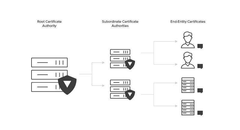 PKI CA Hierarchies And Root CAs