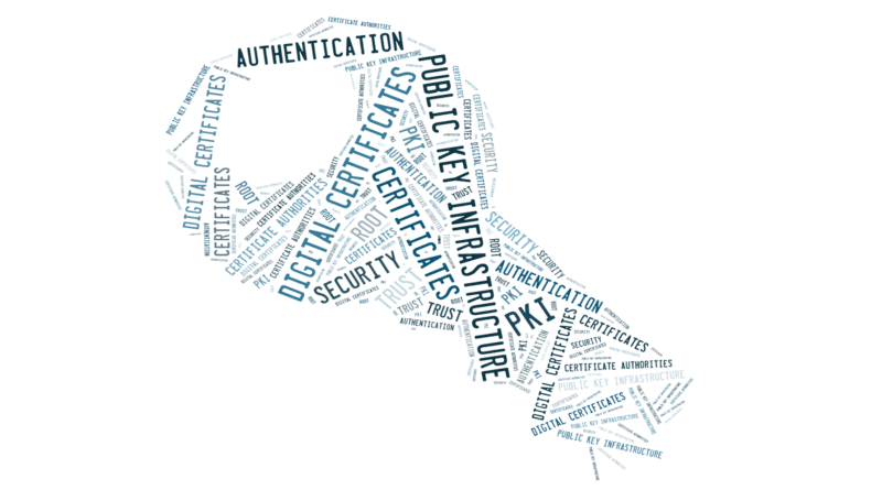 PKI word cloud shaped like a key