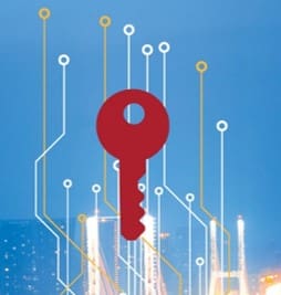 Advantages of a Professionally Managed PKI