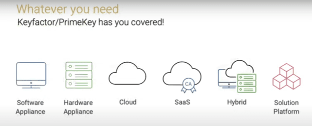 graphic illustration of PKI setup options