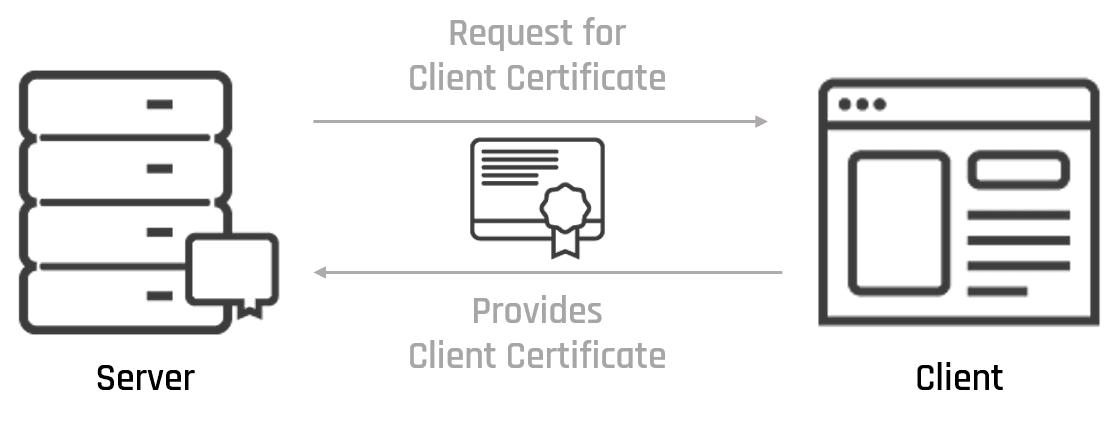 User and Client Certificates