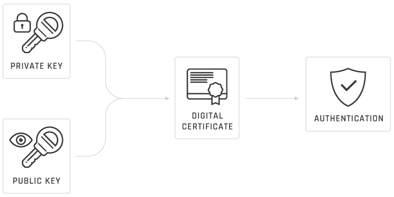 What is a Digital Certificate