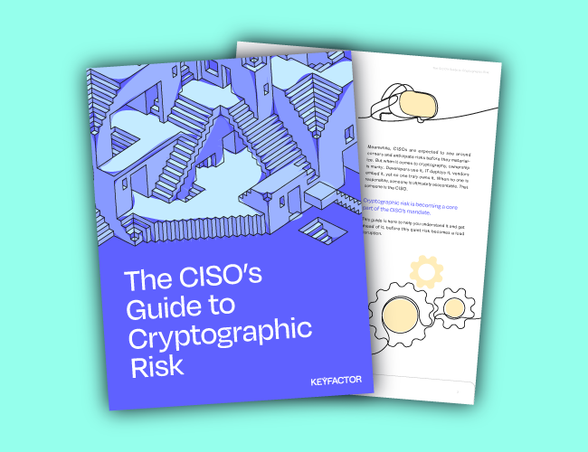 Ciso Guide Preview Cta Box