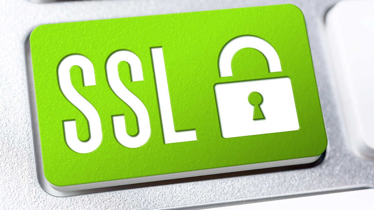 What is SSL? Understanding the History of SSL and How it Works